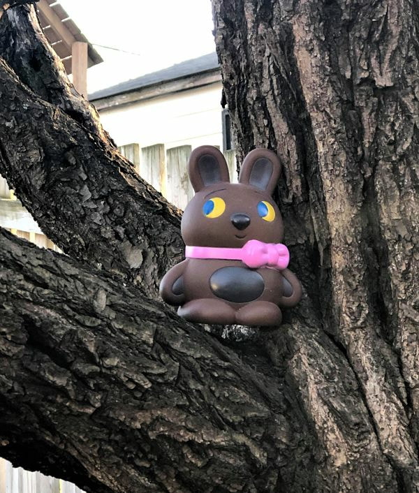 squat brown bunny with sideways glance, in tree