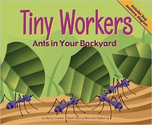 Tiny Workers: Ants in Your Backyard book cover