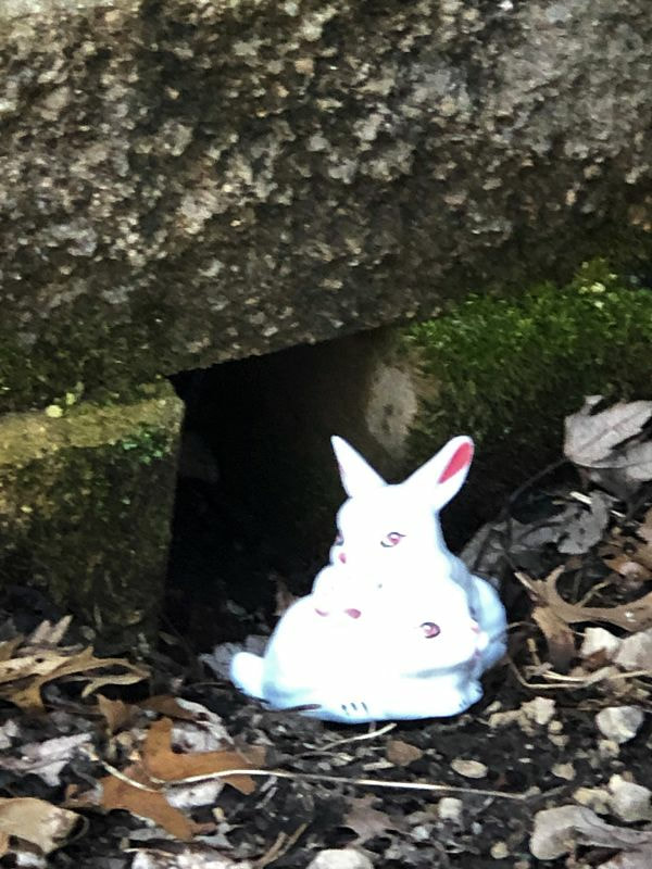 Two white bunnies, one on top of the other, by mossy gap in bricks